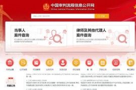 中国审判流程信息公开网：splcgk.court.gov.cn
