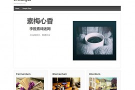 戏迷ok网-李胜素戏迷网：www.lishengsu.com