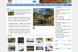 中国化石网-化石网论坛：www.uua.cn