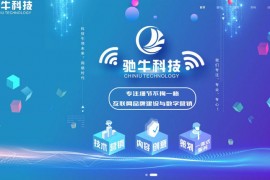 驰牛科技-杭州做网站公司：www.chiniukeji.com