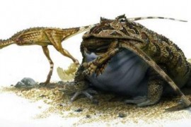 史前最恐怖的青蛙 魔鬼蛙竟敢生吃霸王龙