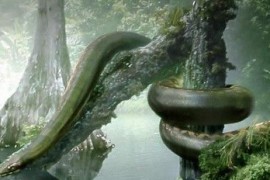 史上最大的蛇 长达15米的泰坦蟒天下无敌被灭种