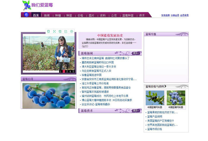 中国蓝莓网：www.lanmei1688.com