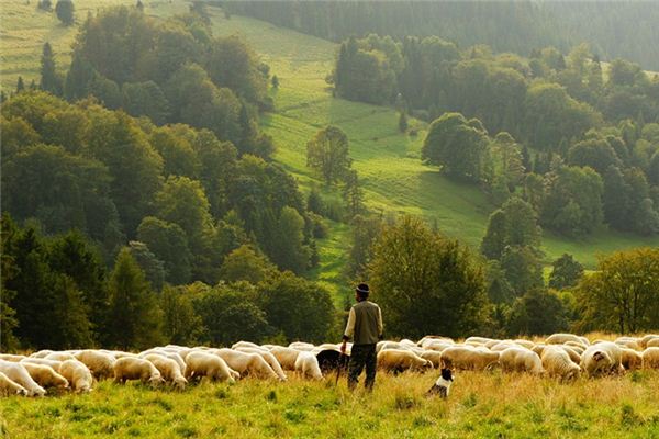 梦见牧羊人是什么意思